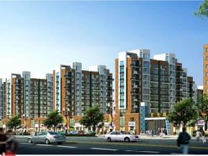 德州星光城 德州星光城