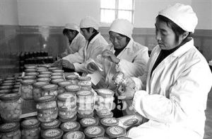 安徽銅陵白姜 安徽銅陵白姜