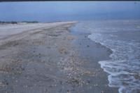 千里岩島海洋生態系統自然保護區 千里岩島海洋生態系統自然保護區