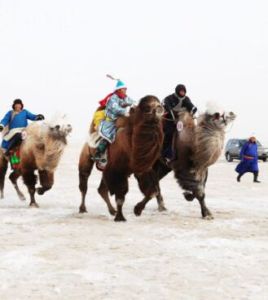 文貢烏拉蘇木 文貢烏拉蘇木