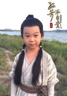 孤芳不自賞[2016年鍾漢良、楊穎主演電視劇]