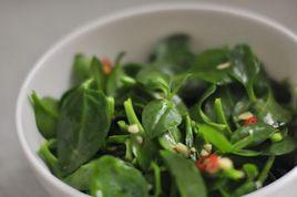 爽口穿心蓮 爽口穿心蓮