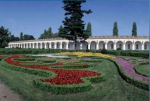 特熱比奇 特熱比奇