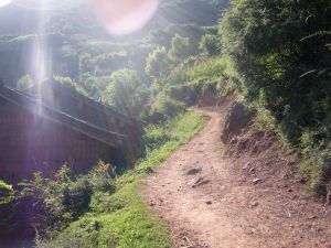 佳局自然村 佳局自然村