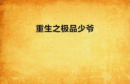 重生之極品少爺 重生之極品少爺