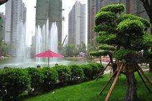 信陽&middot;恆大名都