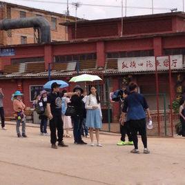 竇嫗工業區 竇嫗工業區