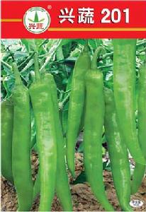 興蔬201 興蔬201