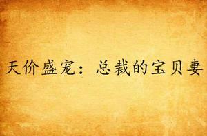 天價盛寵:總裁的寶貝妻 天價盛寵:總裁的寶貝妻