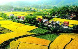 智慧農村 智慧農村