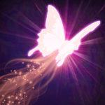 弗利克[MOBA手遊《虛榮》中的英雄]