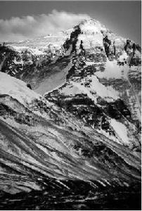 惟余莽莽 惟余莽莽