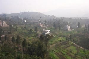 鳳凰莊村 鳳凰莊村