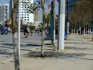 甲殼城市 甲殼城市