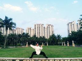 武當內家拳 武當內家拳