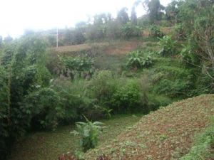 大墳自然村 大墳自然村