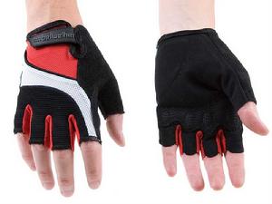 bellwether bellwether