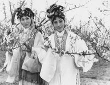 中國電影《白蛇傳》（1980年）劇照