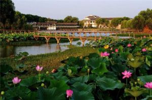 洪湖藍田生態旅遊風景區