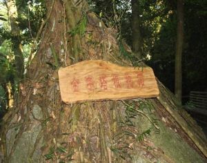 霸王嶺自然保護區