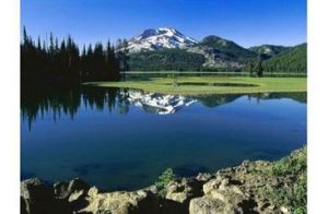 基拉爾尼運動 基拉爾尼運動