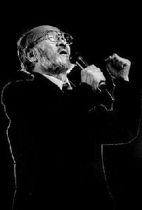 王洛賓[中國民族音樂家]