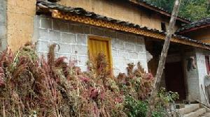 金竹山自然村-民居