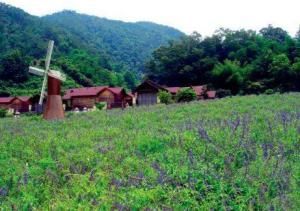 肇慶盤龍峽 肇慶盤龍峽