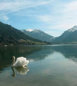 天鵝山[東江湖畔天鵝山]