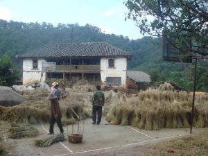 梅格沖村 梅格沖村