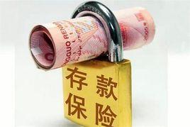 存款保險制度實施方案 存款保險制度實施方案