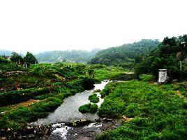新民村[紹興新昌縣南明街道新民村]