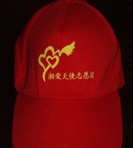 湘愛天使志願團 湘愛天使志願團