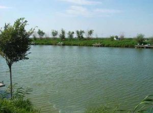 六十戶鄉生態漁村 六十戶鄉生態漁村