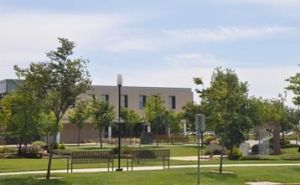 加利福尼亞大學戴維斯分校