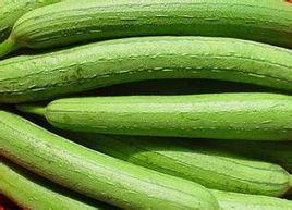 南寧肉絲瓜 南寧肉絲瓜