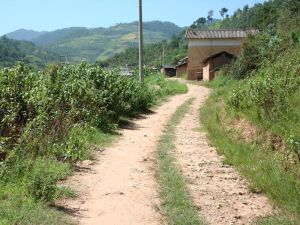 蒼塘自然村 蒼塘自然村