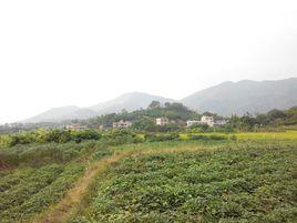 白石水鎮 白石水鎮