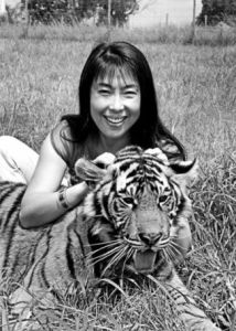 拯救中國虎國際基金會創始人全莉和華南虎“虎伍茲”