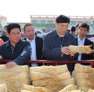 省人大常委副主任馬青林、市委書記張令平