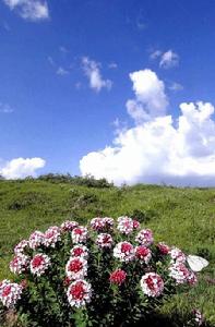 西華鎮[山西省]