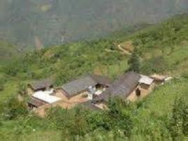 代家村[雲南省姚安縣前場鎮新街村委會代家村]