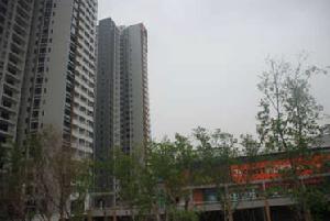 魯能星城二期-7街區 魯能星城二期-7街區