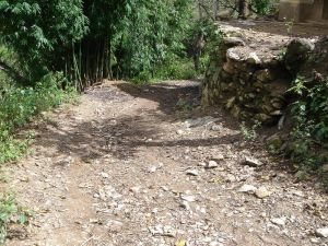 大爛灘自然村 大爛灘自然村