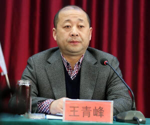 王青峰[陝西省大荔縣委副書記、縣長]