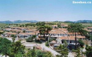 西陳社區 西陳社區