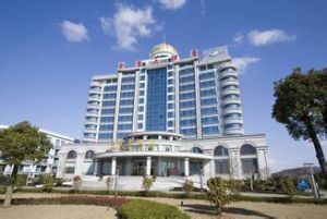 金鷹股份 金鷹股份