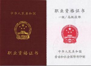 人力資源管理師一級 人力資源管理師一級