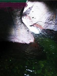 蔚縣金河口森林公園