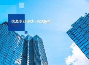 山東信源土地房地產評估諮詢有限公司 山東信源土地房地產評估諮詢有限公司
